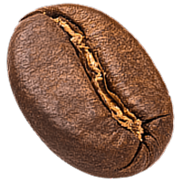 bean